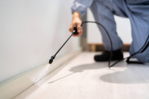 Licensed Termite Control service in Demopolis, AL - Nex Pest Control