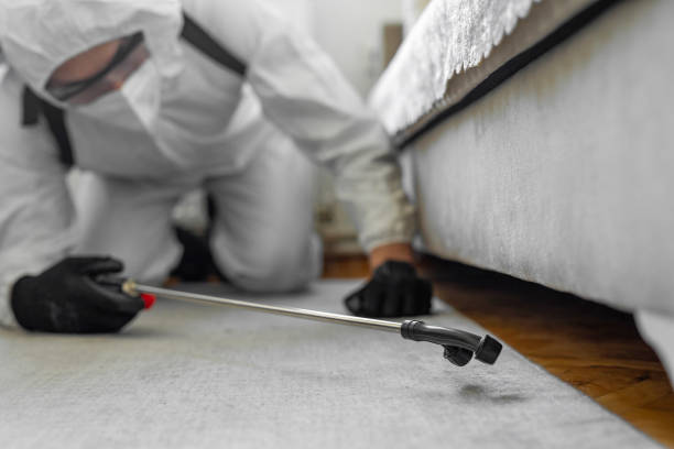 Professional Termite Control technician working in Demopolis, AL