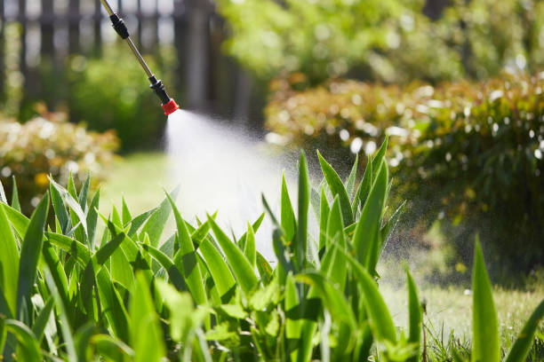 24/7 Emergency Termite Control experts in Demopolis, AL