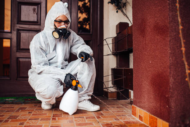 Reliable Termite Control contractor in Demopolis, AL by Nex Pest Control